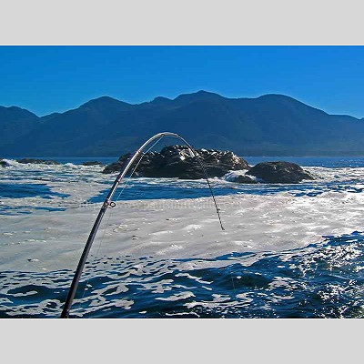 Fishing the Surfline